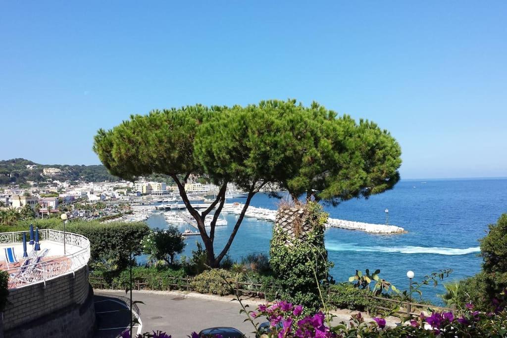 Giardino Mediterraneo Лакко-Амено Экстерьер фото