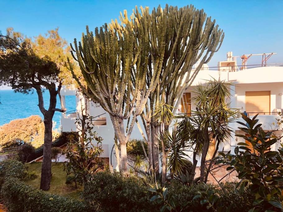 Giardino Mediterraneo Лакко-Амено Экстерьер фото