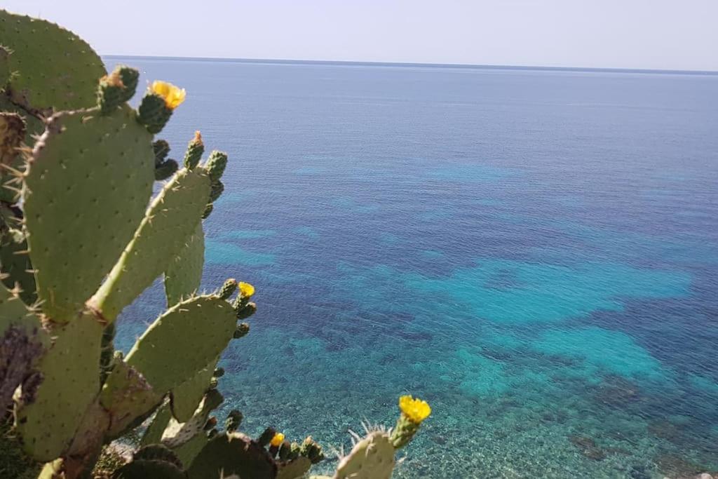 Giardino Mediterraneo Лакко-Амено Экстерьер фото